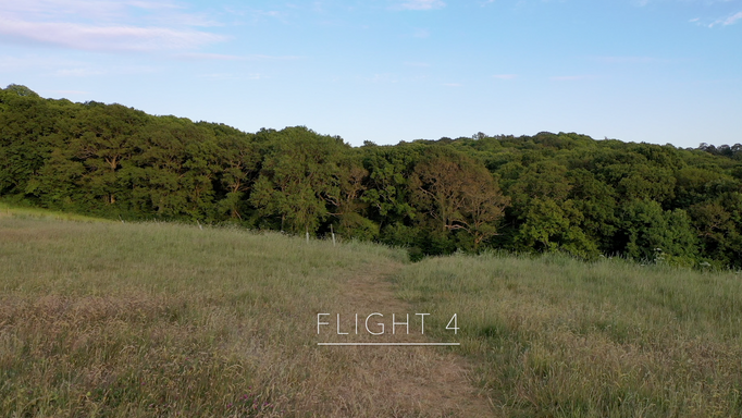 Flight 4
